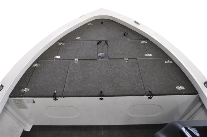 459AssaultPro_Internal_2021 (1)